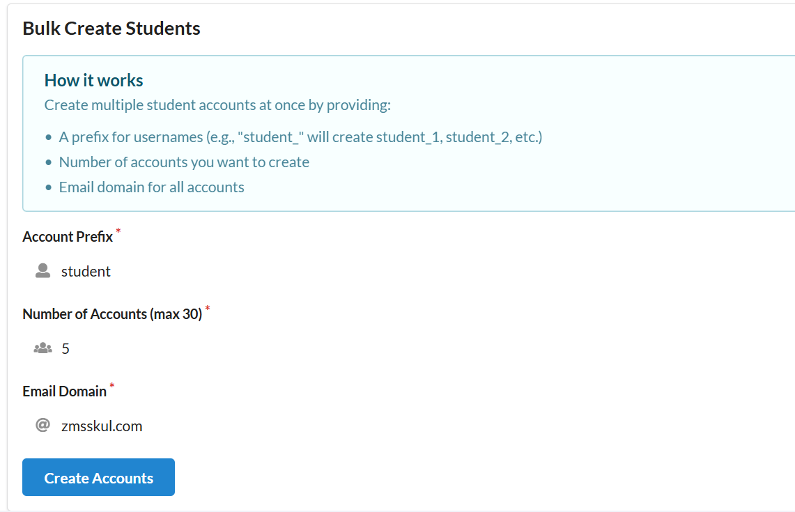 Bulk account creation form filled out